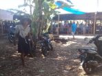 303 Kalangan Perjudian Jenis Sabung Ayam di Desa Aliyan Rogojampi Aktivitas Kembali
