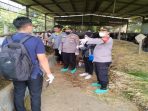 Antisipasi PMK, Satbinmas Polresta Cirebon Melaksanakan Monitoring Hewan Ternak