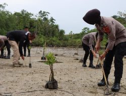 Polres Simeulue Menanam 100 Batang Mangrove Dalam Rangka HUT Humas Polri Ke-72