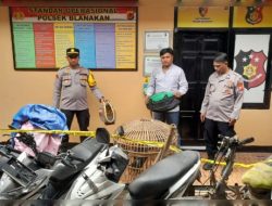 Polres Subang Gerebek Lokasi Sabung Ayam, Pelaku Kocar-kacir